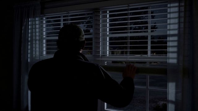Still: the window